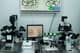 Slider image (6) Institute of Reproductive Medicine DAKHNO - IVF Clinic Ukraine